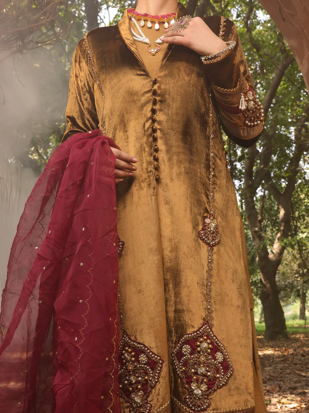 Brown Velvet 3 Piece Formal Stitched - AL-3PS-LS-388 - Image 4